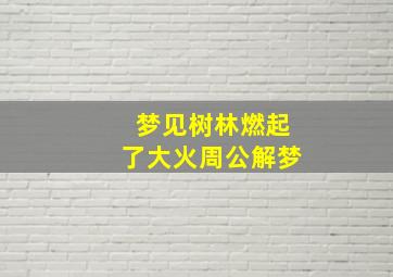 梦见树林燃起了大火周公解梦,做梦树林着大火