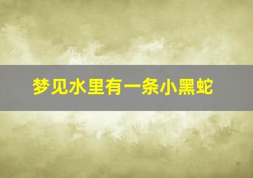 梦见水里有一条小黑蛇,梦见水里有一条小黑蛇什么意思