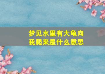 梦见水里有大龟向我爬来是什么意思