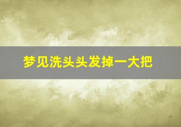 梦见洗头头发掉一大把,梦见洗头发掉了大把头发