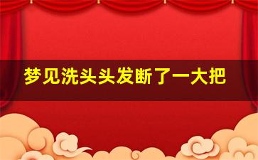 梦见洗头头发断了一大把,头发大把大把的断掉