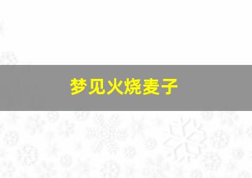 梦见火烧麦子,梦见火烧麦子是什么意思解梦