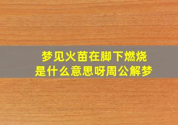 梦见火苗在脚下燃烧是什么意思呀周公解梦