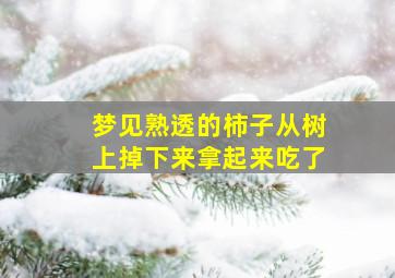 梦见熟透的柿子从树上掉下来拿起来吃了