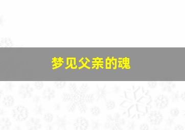 梦见父亲的魂,梦见父亲的魂魄被阴间带走