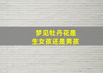 梦见牡丹花是生女孩还是男孩,梦见牡丹花是怀女孩吗