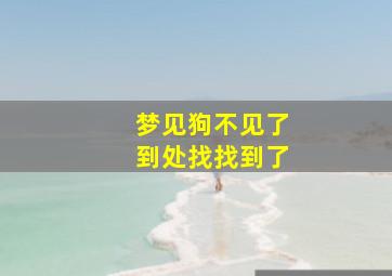 梦见狗不见了到处找找到了