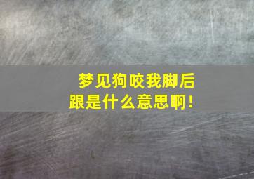 梦见狗咬我脚后跟是什么意思啊！,做梦梦见狗咬我脚后跟