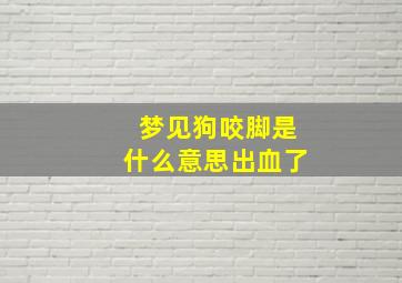 梦见狗咬脚是什么意思出血了,梦见狗咬脚我是什么意思