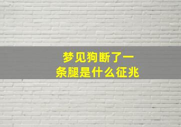 梦见狗断了一条腿是什么征兆