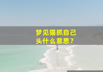 梦见猫抓自己头什么意思？