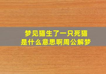 梦见猫生了一只死猫是什么意思啊周公解梦