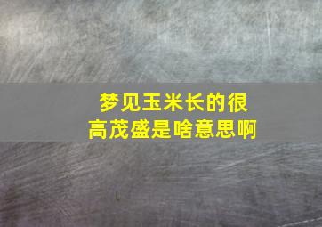 梦见玉米长的很高茂盛是啥意思啊