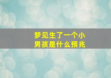 梦见生了一个小男孩是什么预兆,梦见生个小男孩好不好