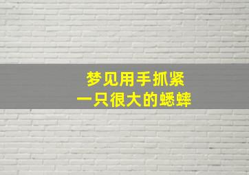 梦见用手抓紧一只很大的蟋蟀