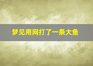 梦见用网打了一条大鱼,梦见打了一网鱼是什么征兆