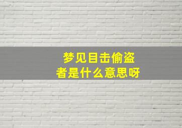 梦见目击偷盗者是什么意思呀