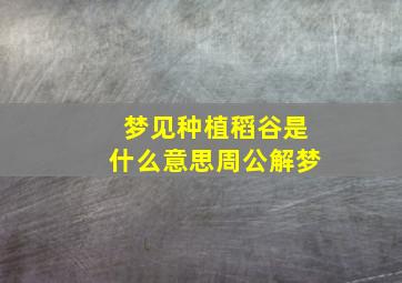 梦见种植稻谷是什么意思周公解梦