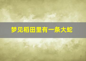 梦见稻田里有一条大蛇,梦见稻田里有巨大蟒蛇