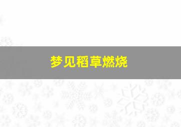 梦见稻草燃烧,梦见烧稻草火