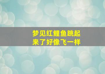 梦见红鲤鱼跳起来了好像飞一样