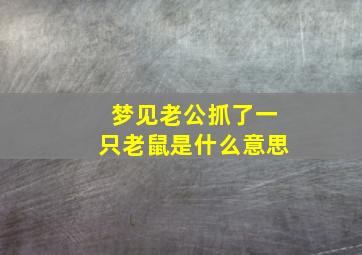 梦见老公抓了一只老鼠是什么意思,梦见老公抓住一只大老鼠