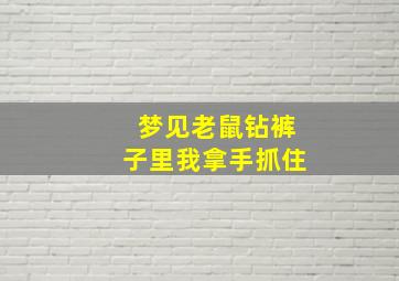 梦见老鼠钻裤子里我拿手抓住