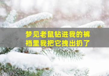 梦见老鼠钻进我的裤裆里我把它拽出扔了,梦见老鼠跑进裤裆里面什么意思