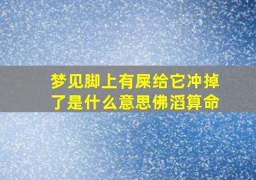 梦见脚上有屎给它冲掉了是什么意思佛滔算命