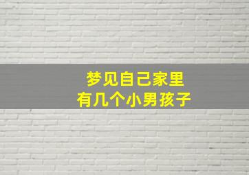 梦见自己家里有几个小男孩子,做梦梦见家里多了个小男孩