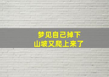 梦见自己掉下山坡又爬上来了,梦见自己掉下山然后爬起来