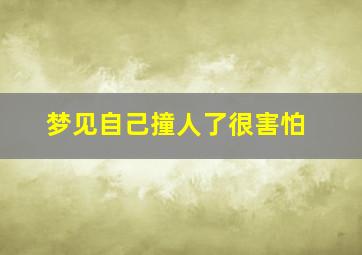 梦见自己撞人了很害怕,梦到自己撞人了还逃避