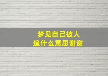 梦见自己被人追什么意思谢谢