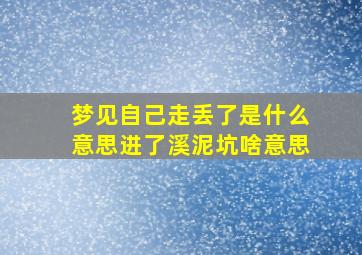 梦见自己走丢了是什么意思进了溪泥坑啥意思