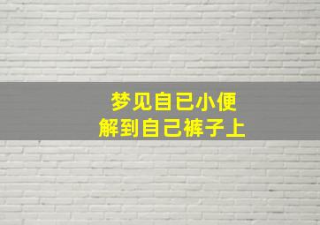 梦见自已小便解到自己裤子上,做梦梦到小便拉在自己裤子上