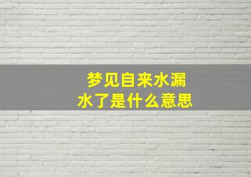 梦见自来水漏水了是什么意思