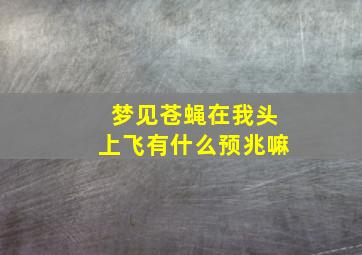 梦见苍蝇在我头上飞有什么预兆嘛,梦见苍蝇在头上飞有什么预兆?