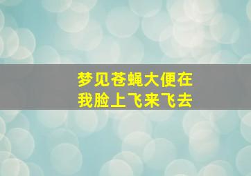 梦见苍蝇大便在我脸上飞来飞去,梦见苍蝇在屎上