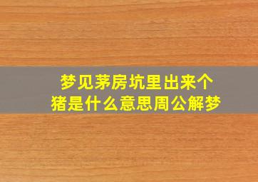 梦见茅房坑里出来个猪是什么意思周公解梦,梦见茅坑里有猪