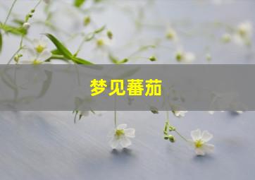 梦见蕃茄