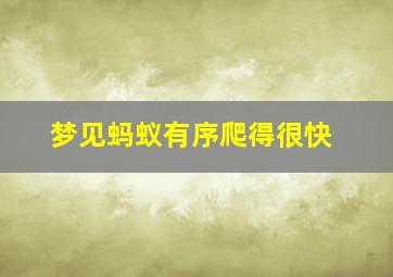 梦见蚂蚁有序爬得很快,梦见蚂蚁在爬