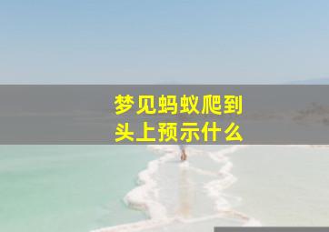 梦见蚂蚁爬到头上预示什么,梦见蚂蚁爬在头上