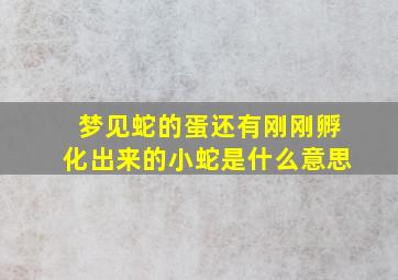 梦见蛇的蛋还有刚刚孵化出来的小蛇是什么意思