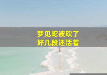 梦见蛇被砍了好几段还活着,梦到蛇被砍了好多段