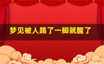 梦见被人踢了一脚就醒了,梦里被人踢了一脚