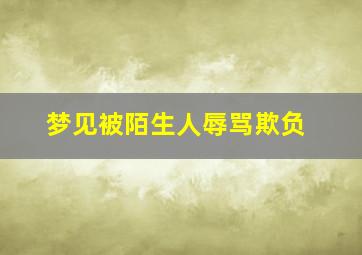 梦见被陌生人辱骂欺负,梦见被陌生人辱骂欺负什么意思