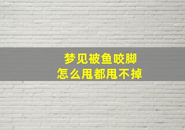 梦见被鱼咬脚怎么甩都甩不掉,做梦被鱼咬了脚什么意思周公解梦