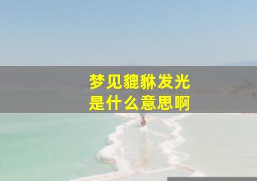 梦见貔貅发光是什么意思啊