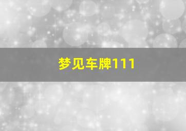 梦见车牌111