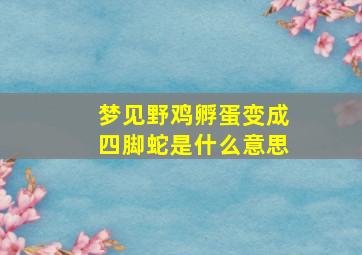 梦见野鸡孵蛋变成四脚蛇是什么意思